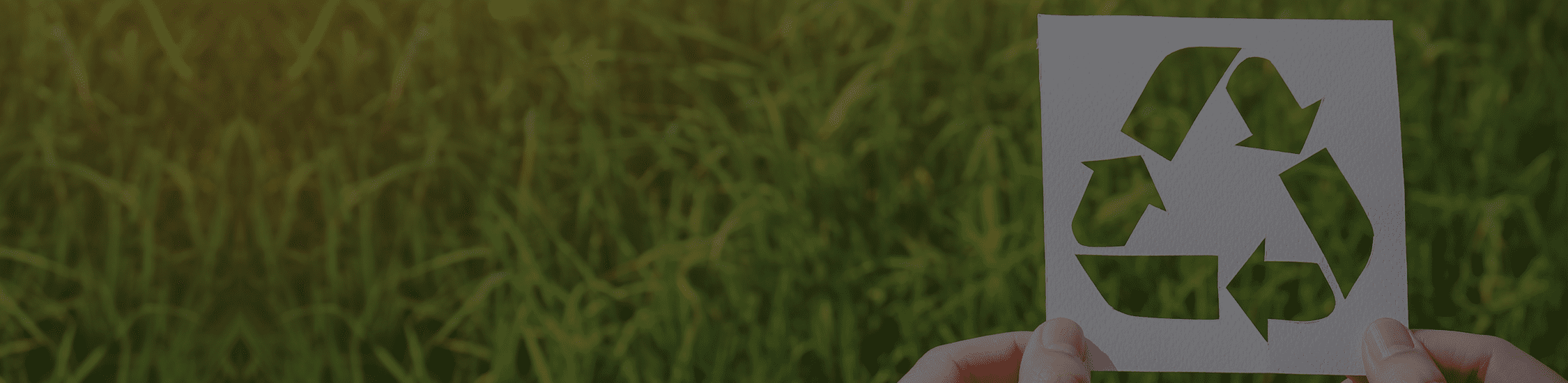 Extended Producer Responsibility (EPR) for Packaging Taylor Davis Ltd